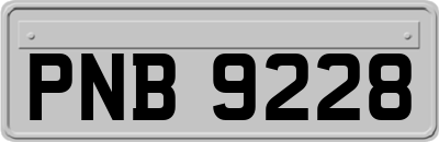 PNB9228