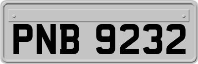 PNB9232
