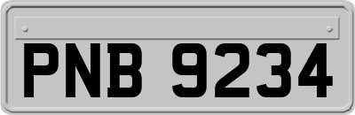 PNB9234