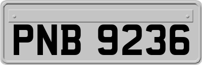 PNB9236