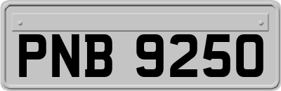 PNB9250