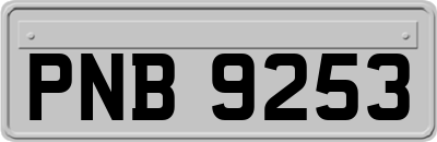 PNB9253