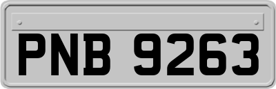 PNB9263
