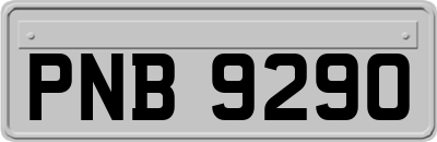 PNB9290