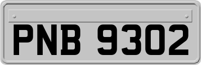 PNB9302