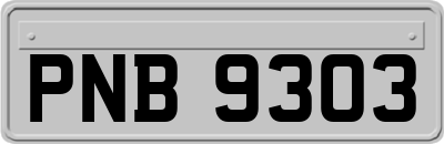 PNB9303