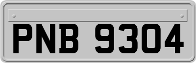 PNB9304