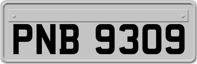 PNB9309