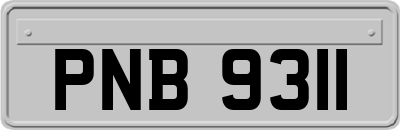 PNB9311