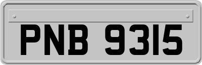 PNB9315