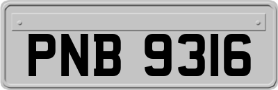 PNB9316