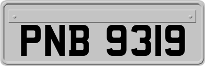 PNB9319