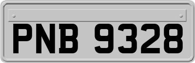 PNB9328