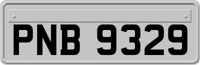 PNB9329