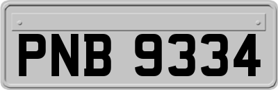 PNB9334