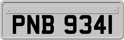 PNB9341