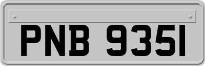PNB9351