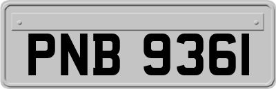 PNB9361