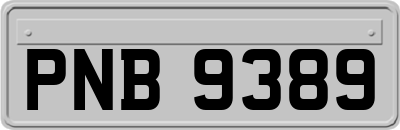 PNB9389
