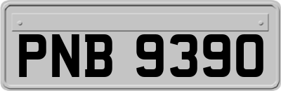 PNB9390