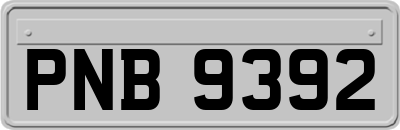 PNB9392