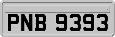 PNB9393