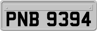 PNB9394
