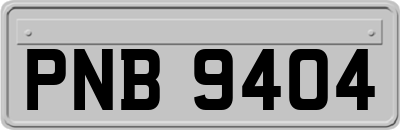 PNB9404