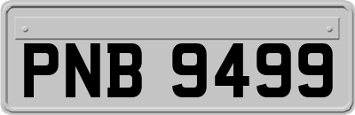 PNB9499
