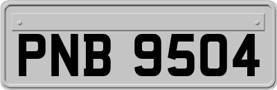 PNB9504
