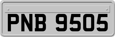 PNB9505