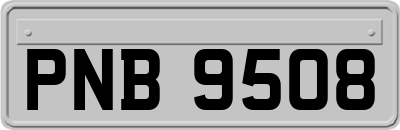 PNB9508