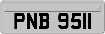 PNB9511