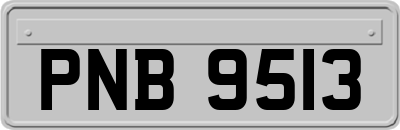 PNB9513