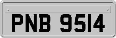 PNB9514