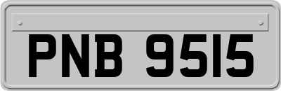 PNB9515