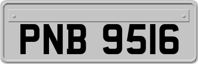 PNB9516