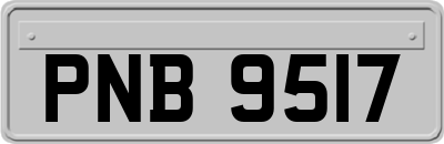 PNB9517