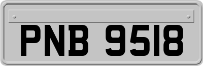 PNB9518