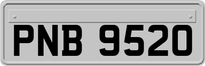 PNB9520