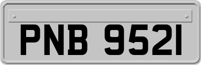 PNB9521
