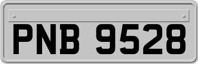 PNB9528