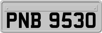 PNB9530