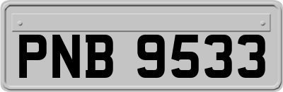 PNB9533