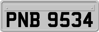 PNB9534