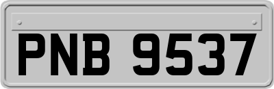 PNB9537