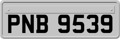 PNB9539