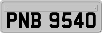 PNB9540