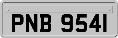 PNB9541