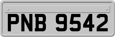 PNB9542